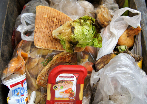 Foto zeigt Lebensmittel in der Mülltonne