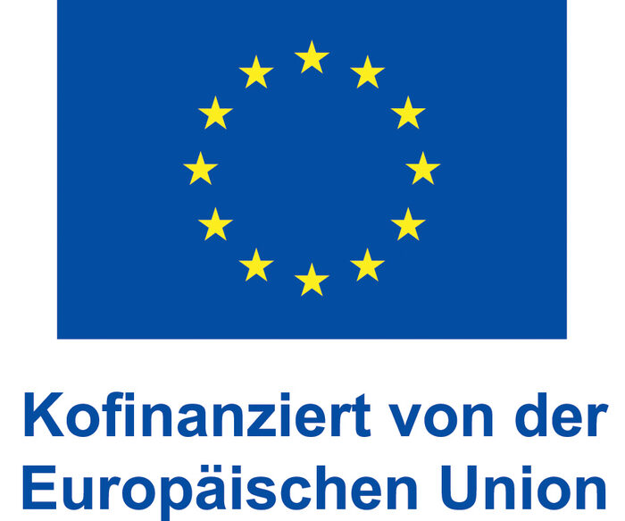 Emblem EU Finanzierung