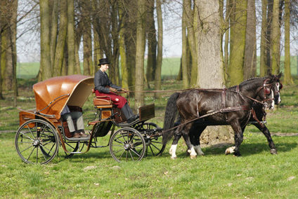 Pferdekutsche aus einer der Gostyner Kutschenmanufakturen