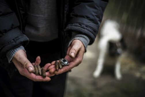 Ukrainer, der Munitionsreste in den Händen hält, gefunden in seinem Grundstück