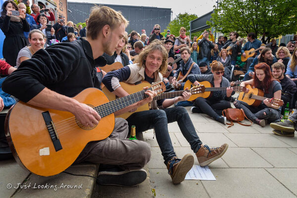Gitarristen und Publikum