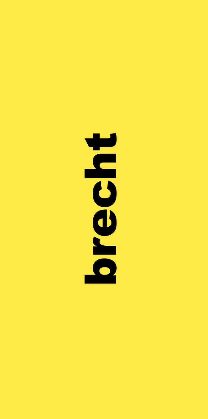 Name "Brecht" senkrecht auf gelbem Untergrund