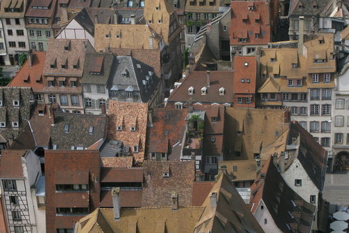 Blick von der Aussichtsplattform des Münsters auf die Dächer der Altstadt