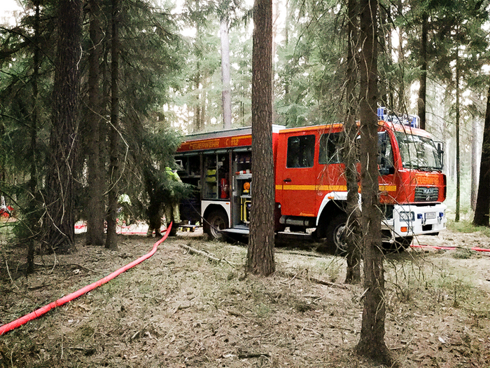 HLF bei einem Waldbrand
