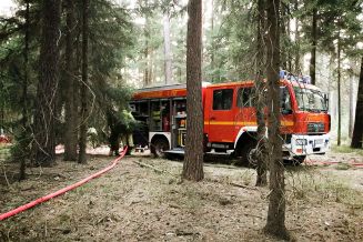 Ein HLF bei einem Waldbrand im Einsatz.