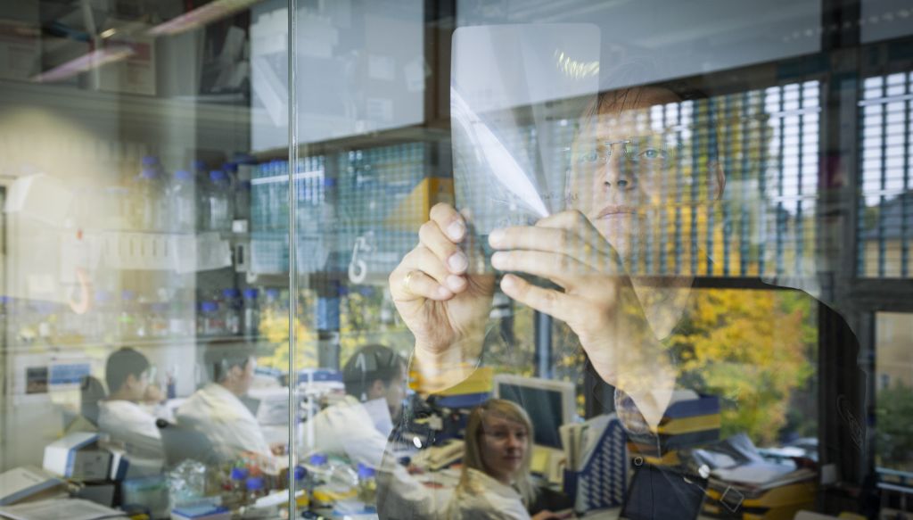 Forscher mit Probenscheibe hinter Glaswand