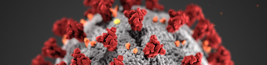 3D-Grafik eines Coronavirus, Darstellung des kugelförmigen Virus mit aus der Hülle ragenden Proteinstrukturen (Spikes)