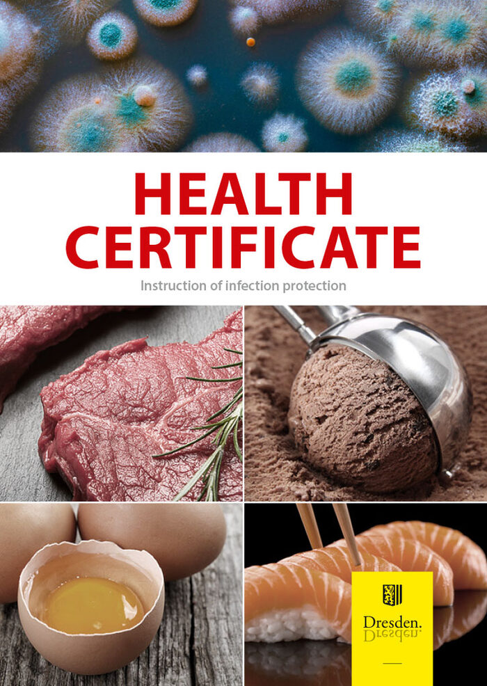 Info card health certificate with five pictures: a mold culture, a piece of meat, an ice cream scoop with chocolate ice cream, a cracked egg, sushi