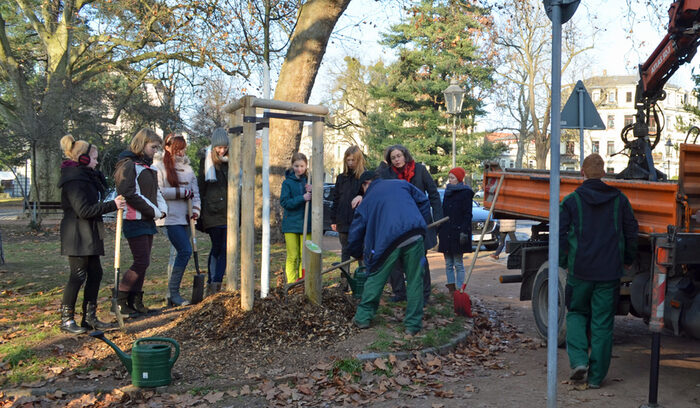 Schüler der Montessori-Schule Huckepack Dresden e. V. pflanzen mit der Umweltbürgermeisterin Eva Jähnigen einen Baum auf dem Barbarossaplatz (2016)