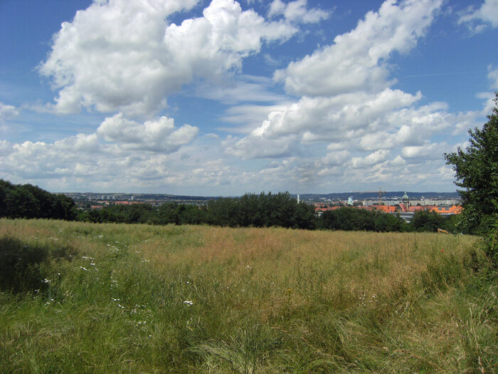 Blick vom Südpark auf Dresden (aufgenommen im Juni 2016)