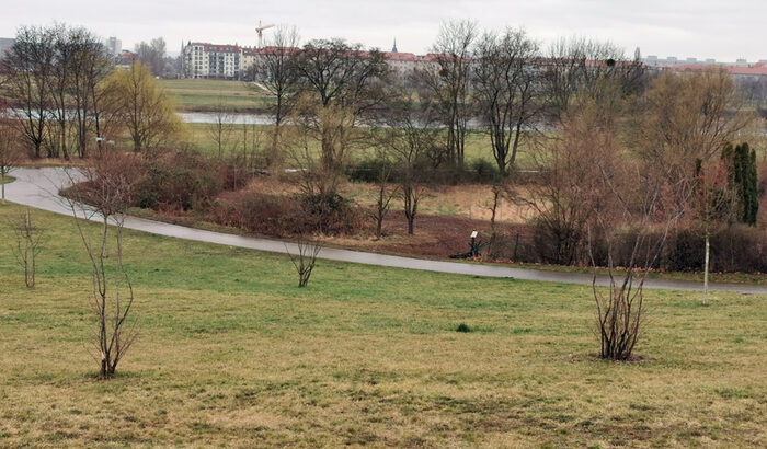 Grünfläche am Hang mit einigen Sträuchern, einem Weg, einem verwilderten Garten, im Hintergrund die Elbe