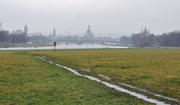 Wiese an der Elbe im März 2020