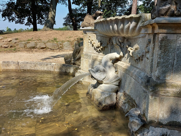 Brunnendetail: waserspeiender Fisch