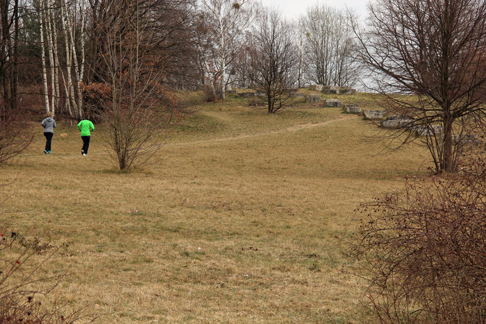 Zwei Personen joggen durch baumbestandenes Gelände mit Wiesen im Carolapark