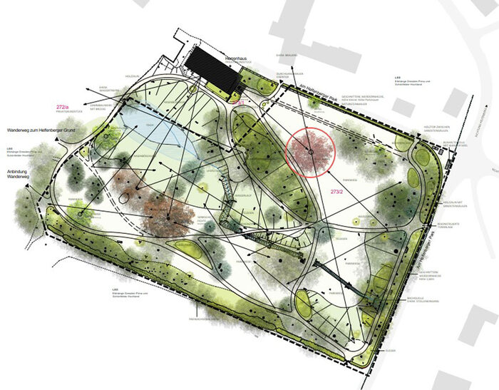 colorierter Lageplan Helfenberger Park mit geplanter Neupflanzung der Blutbuche; der Standort für den neuen Baum ist rot umkreist