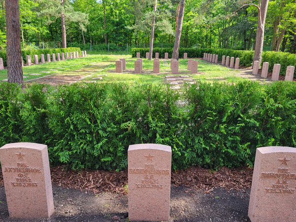 Sowjetischer Garnisonsfriedhof mit den wieder aufgestellten Grabsteinen, Bepflanzung und Bäume im Hintergrund (3. Bauabschnitt)