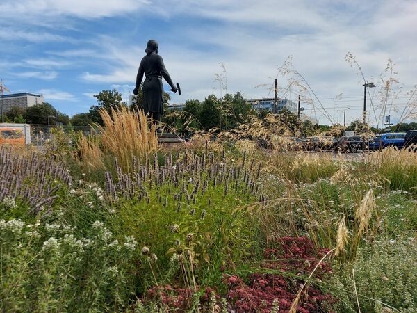 Staudenbeet an der Trümmerfrau im August 2024, im Vordergrund blühende Stauden, im Hintergrund das Denkmal der Trümmerfrau in der Rückenansicht