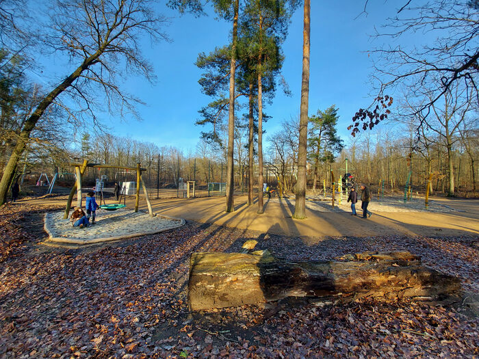 Waldspielplatz Albertpark mit Kletternetz, Nestschaukel, Seilbahn, Ballspielbereich. Im Vordergrund ein Baumstamm zum Klettern.