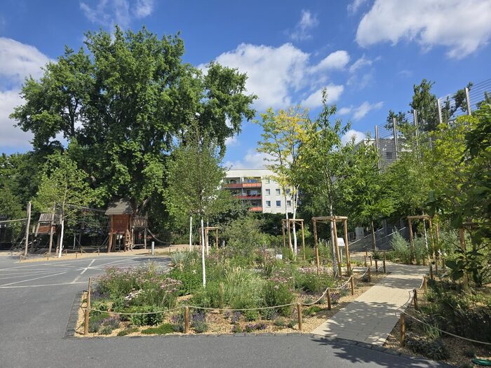 Dresden International School, Schulhof (2025)