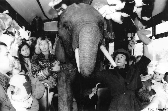 Ein Elefant in der Kinderstraßenbahn wird umringt von Menschen mit Plüschtieren.