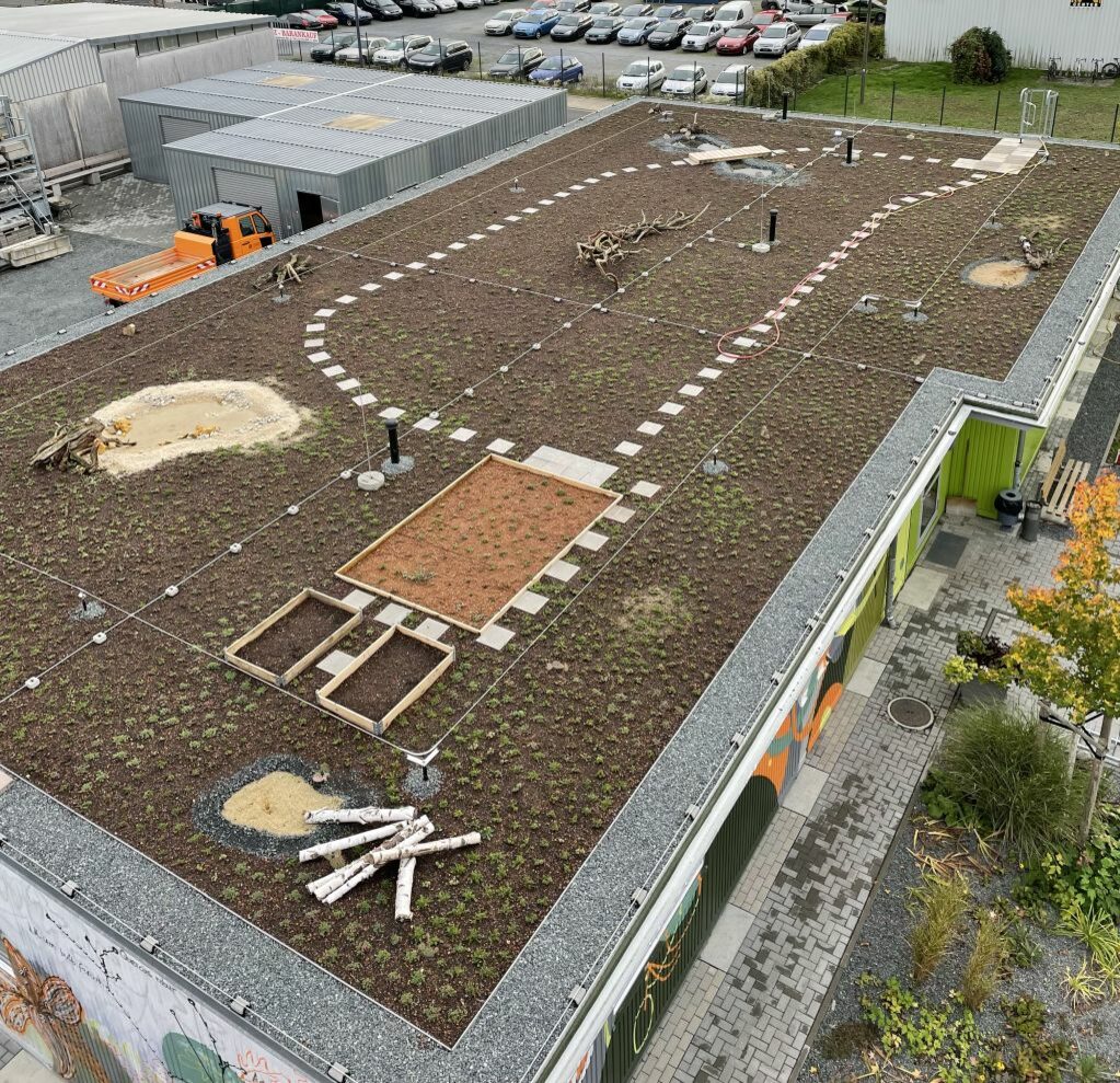 Blick auf das Dach im Oktober 2022 - schon nach kurzer Zeit zeigt sich, dass die Pflanzen für diese Extrembedingungen perfekt angepasst sind.