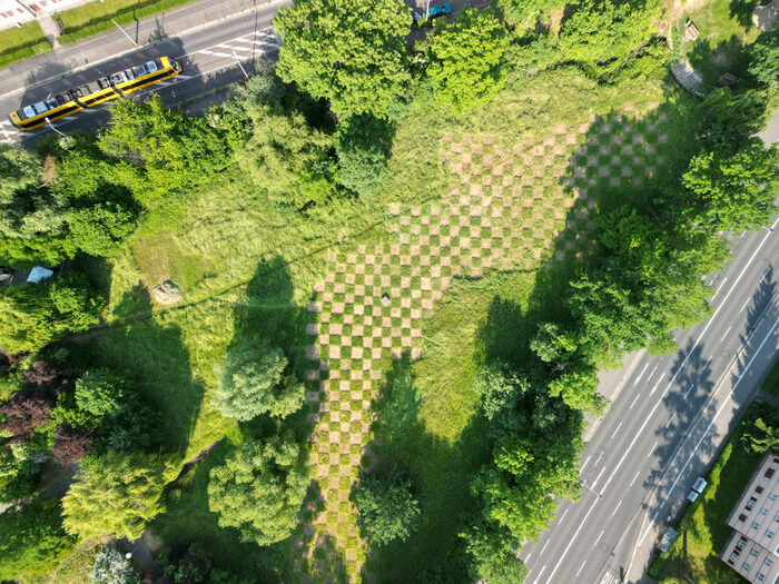 Luftbild von mit Karomuster gemähter Rasenfläche