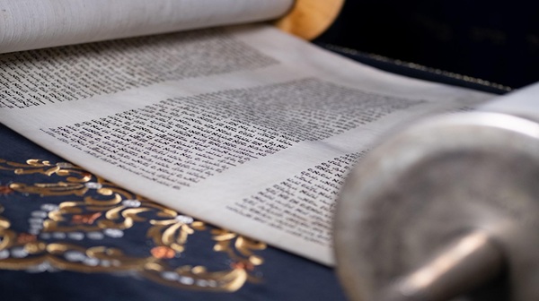 Die ewige Schrift - Eine Torah für Dresden