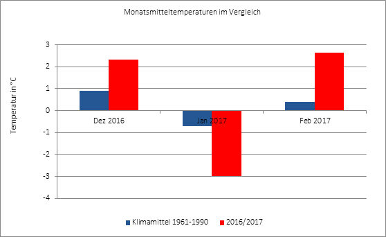 Diagramm Monatsmitteltemperatur im Vergleich (Winter16/17 zu Durchschnitt)
