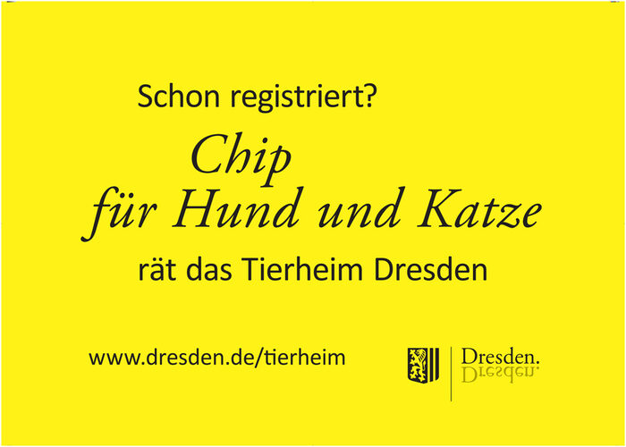gelbe Fläche mit Schrift: Schon registriert? Chip für Hund und Katze rät das Tierheim Dresden