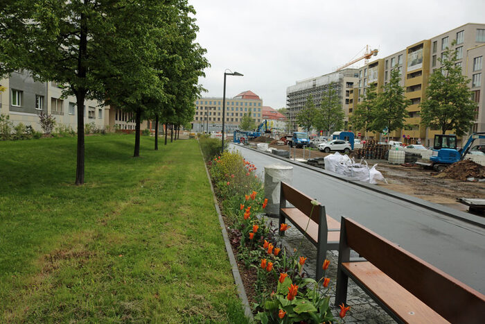 westlicher Promenadenring: links Wiese, Bäume, Blumenrabatte und Bänke, rechts vom Fußweg Baustelle