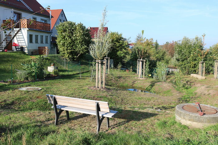 Grüpnfläche mit Rasen, Bäumen, Bach und Bank