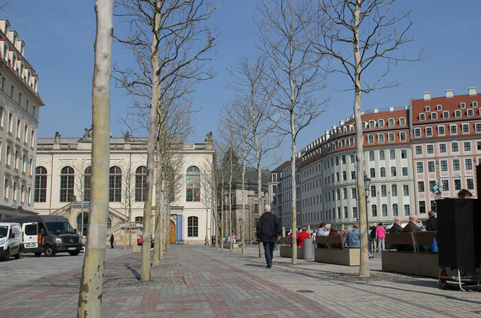 Pflasterung und Bäume des "Grünen Gewwandhauses"