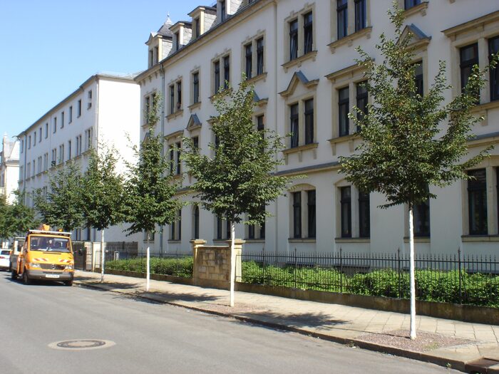 Hopfenbuchen am Straßenrand