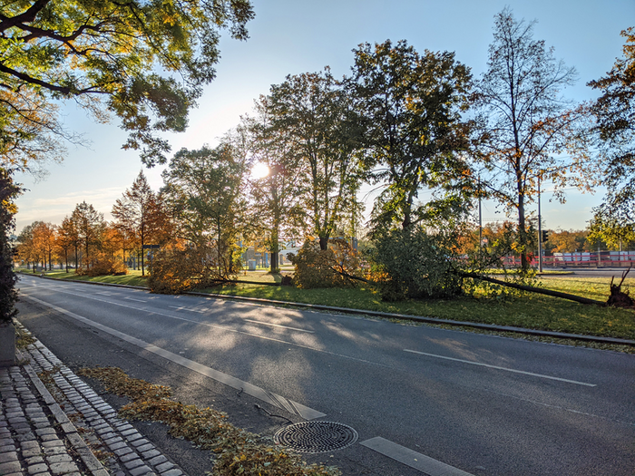 Foto einer Straße ohne Autos, dahinter liegen umgestürzte Bäume auf dem Grünstreifen