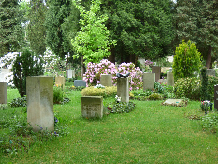 Blick in den grünen Friedhof Loschwitz mit Gräbern und Bäumen