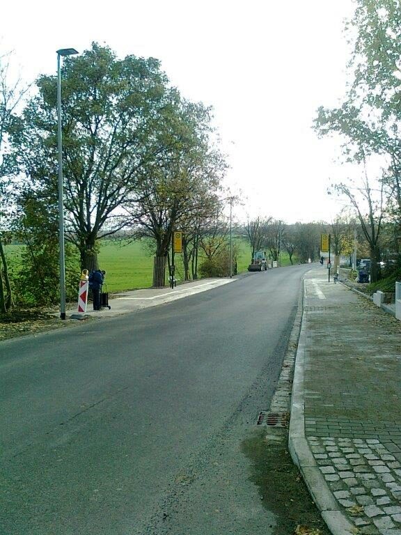 neusanierte Straße, auf beiden Seiten ist eine Haltestelle, im Hintergrund stehen Bäume
