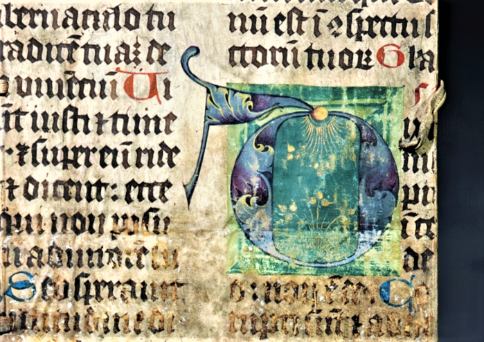 Nahaufnahme eines Fragments, mittelalterliche Buchstaben
