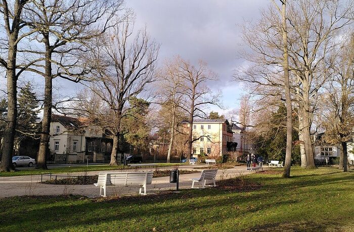 Wiese mit einem Weg und Bäumen sowie Bänken