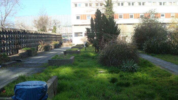 Blick auf Büsche und Gras zwischen Gebräuden