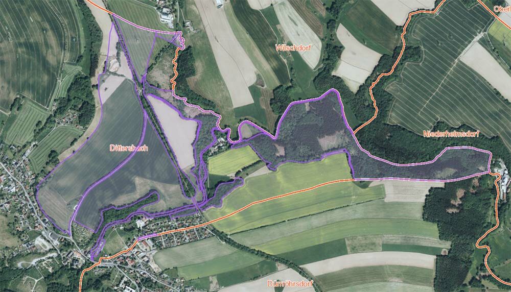Lila Markierung einer Waldfläche von oben