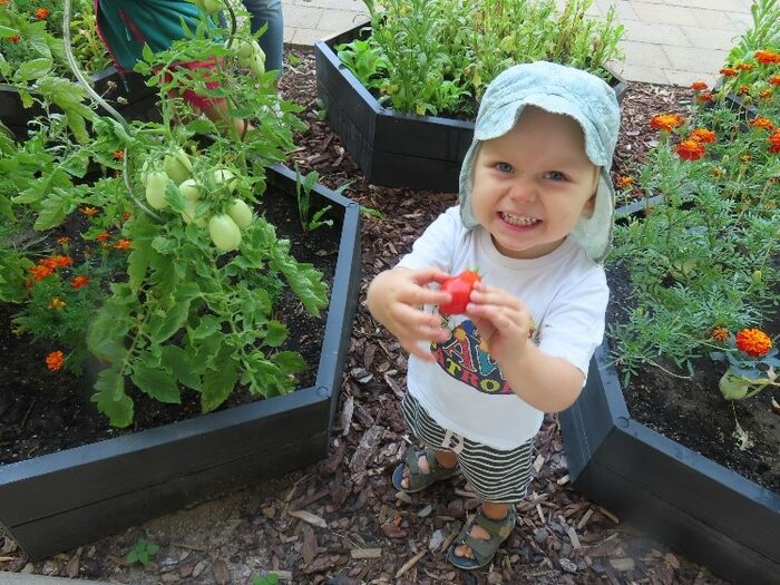 Naschgarten der Kita Abenteuerland