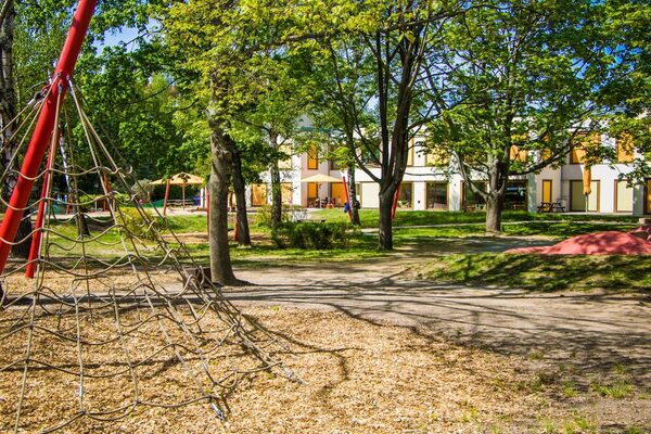 Kletterspinne vor grünen Bäumen