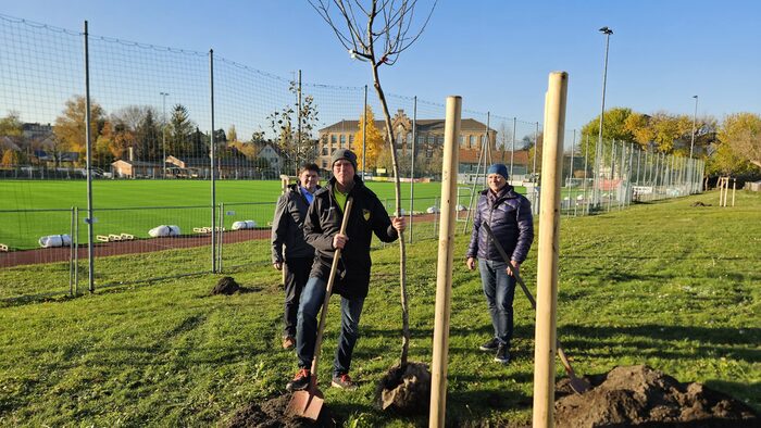 Biodiversität Sportanlage