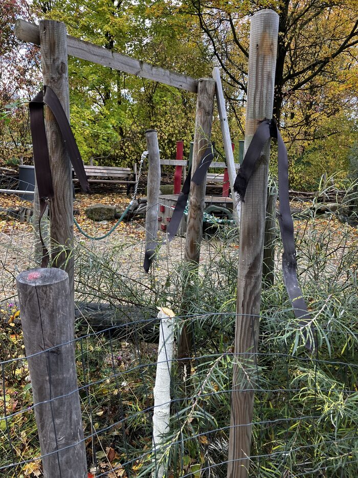 Foto eines Baumstumpfes