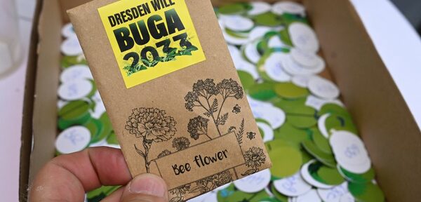 Give Away Blumensamen