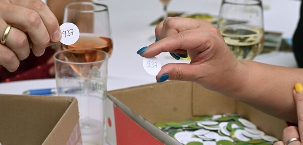 Tombola zur Bundesgartenschau 2033