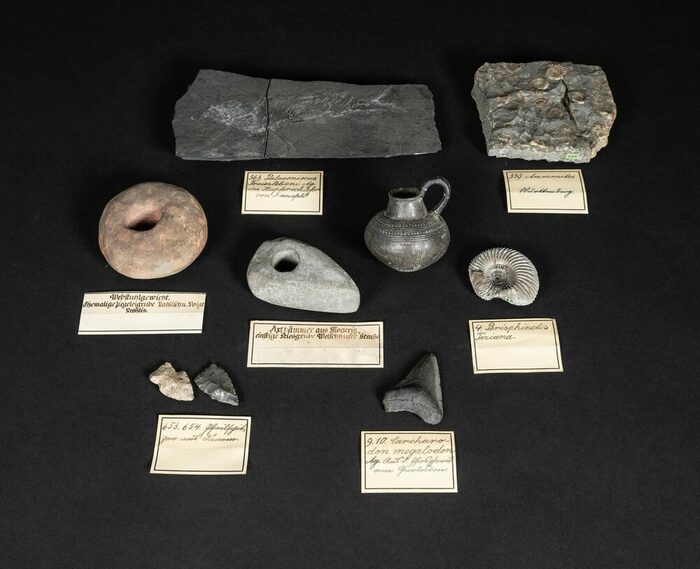 Fossilien und andere archäologische Objekte aus der Sammlung Ortsarchiv Leubnitz-Neuostra von Oberlehrer Erich Karl Rühle