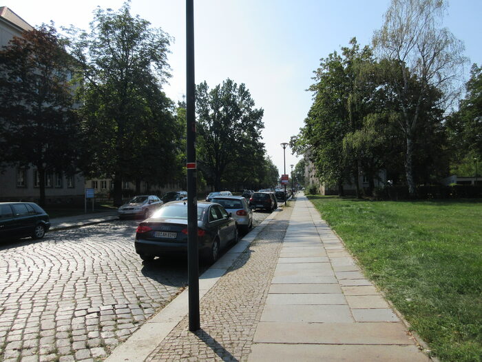 An der Mathildenstraße werden Straßenbäume gepflanzt.
