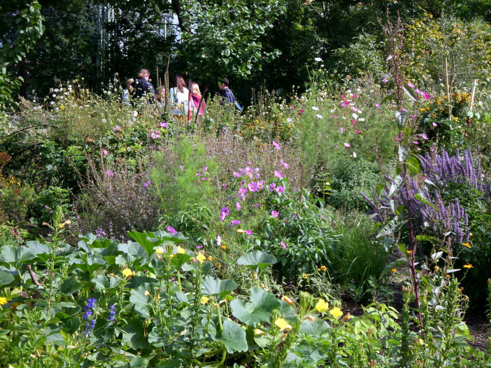 Foto zeigt der Garten in voller Blüte mit Gärtnern im Hintergrund