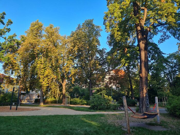 Briesnitzer Park Süd: Blick zur Allee mit Kastanien an der Calesthenics-Anlage mit Hängematte (Sommer 2024)